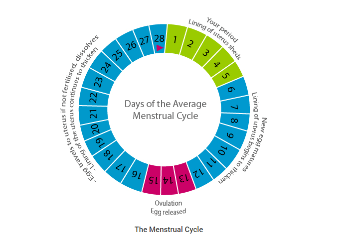 What Is Period Poverty? - Trade To Aid